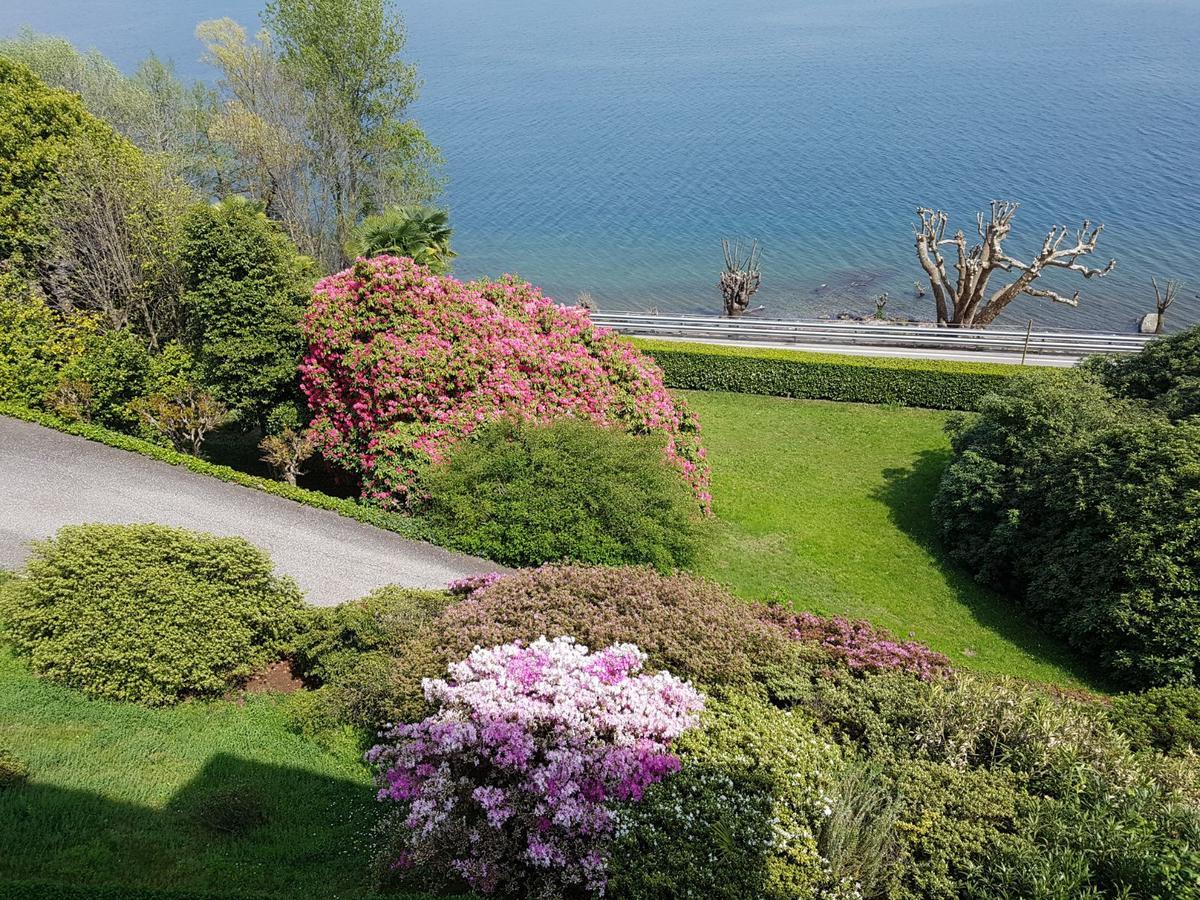 Bmp Apartment Gioiosa 1 Terrazza Vista Lago Belgirate Eksteriør bilde